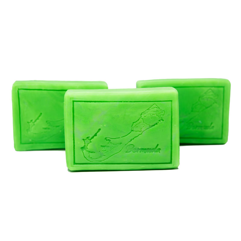 Soap Bar - Salt Spray Soap Co.