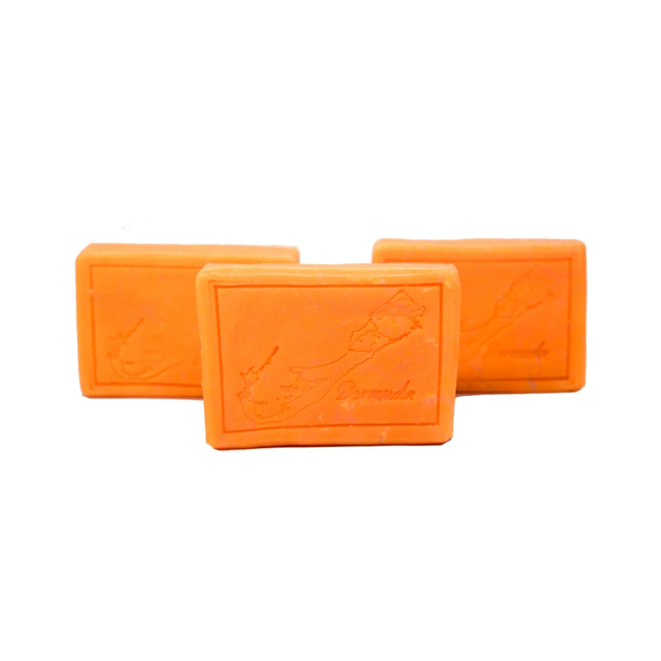 Soap Bar - Salt Spray Soap Co.